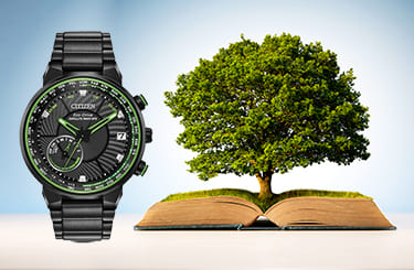 シチズンの時計と知識の本から木が実る様子