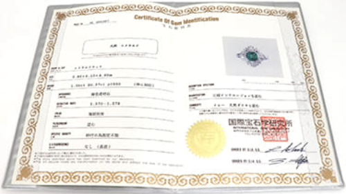 鑑別書なしでも
