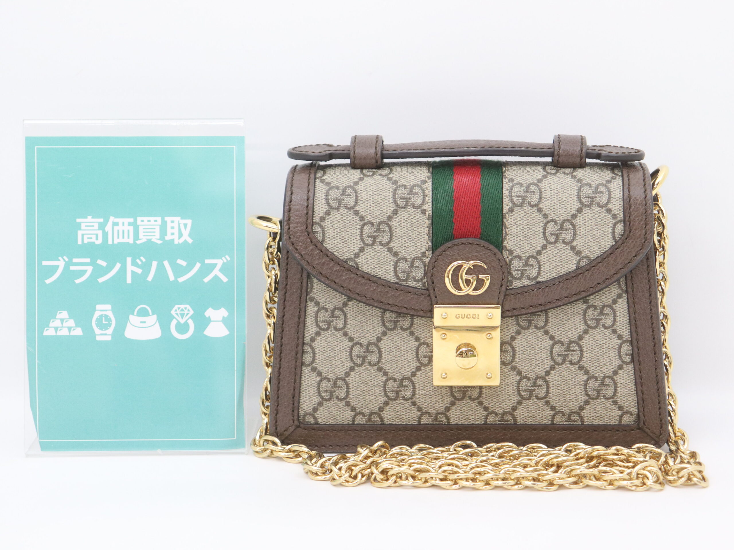 グッチオフィディア