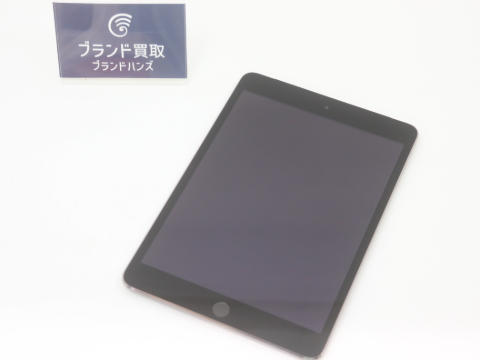 AppleiPadmini