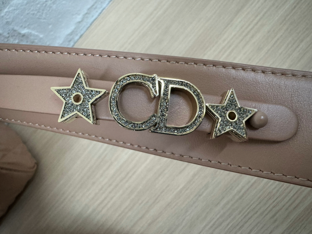 ディオールレディディオールショルダー