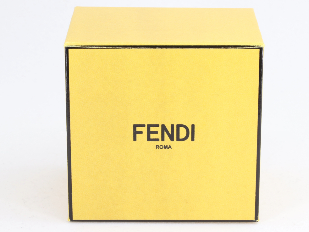 フェンディラインストーンピアス付属品