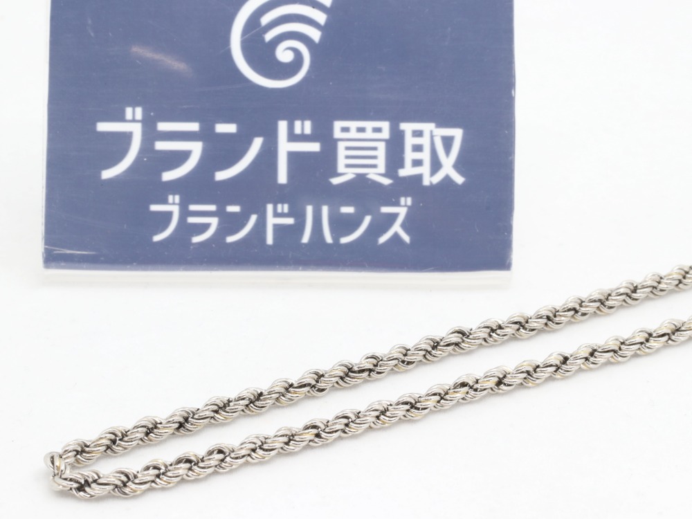 ノーブランドのPT850ネックレス全体