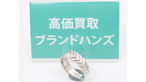 純プラチナ(PT1000)リング全体