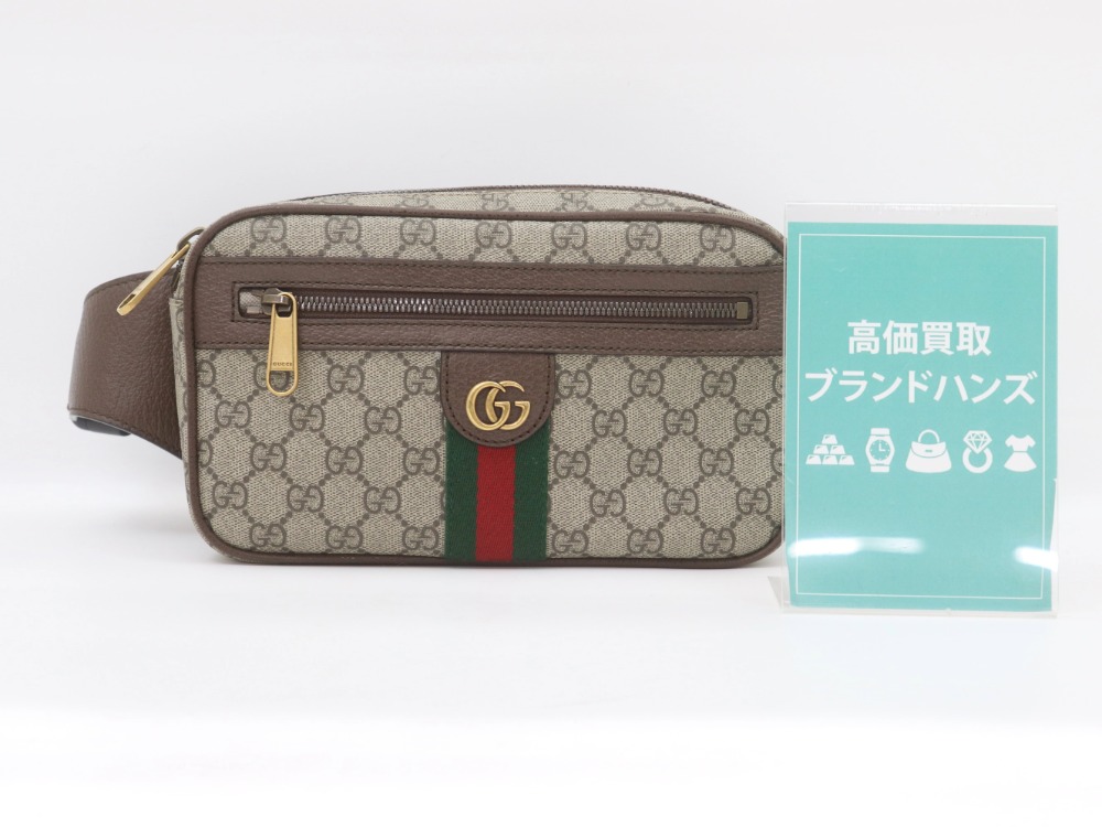 グッチのオフィディアボディバッグ全体