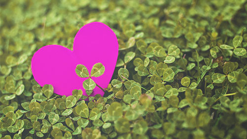 ブランドハンズの鑑定士は親切