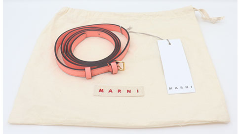 マル二の付属品のショルダーストラップと袋