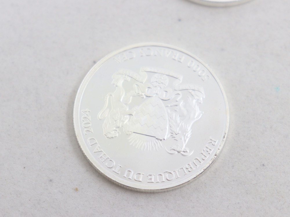 SV1000素材の銀貨背面