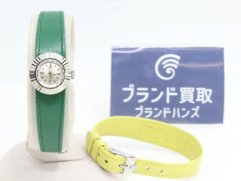 チューダーカメレオン