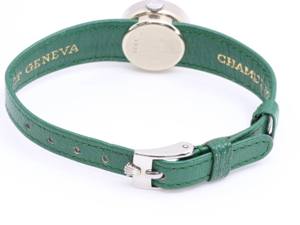 チューダーカメレオンベルト