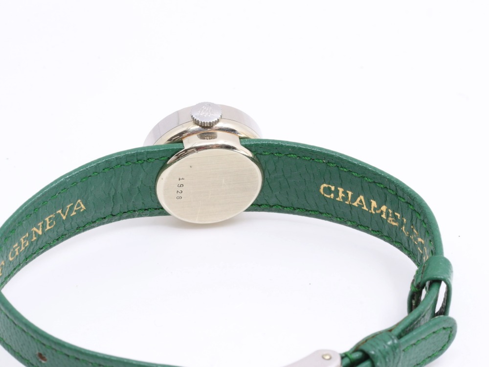 チューダーカメレオン裏蓋