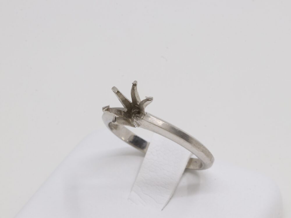 PT850リング全体