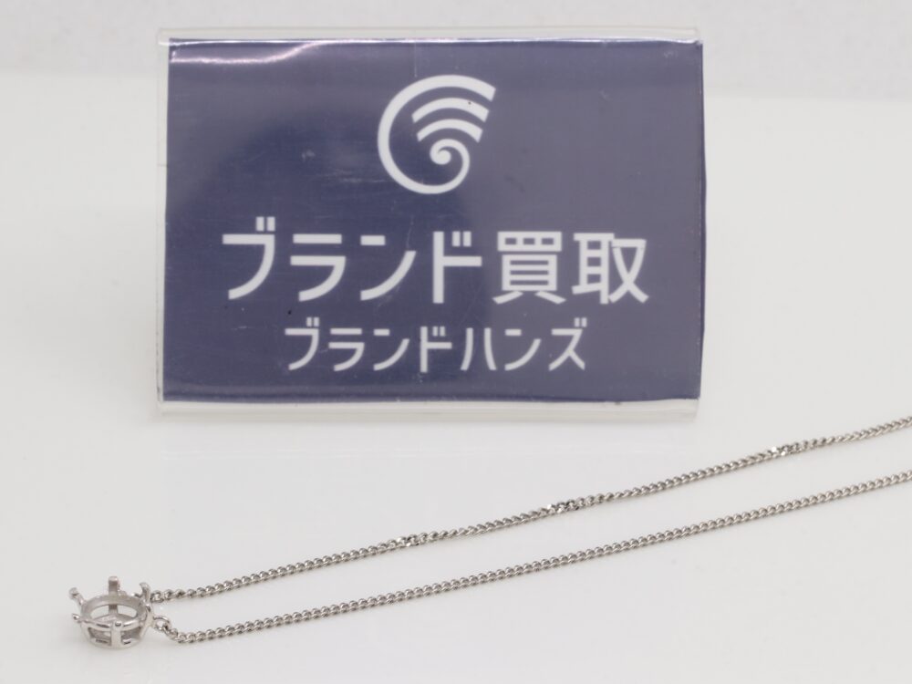 Pt850ネックレス全体