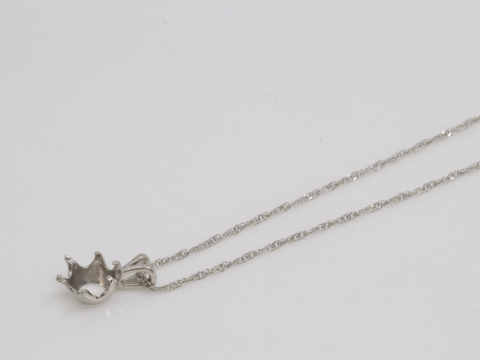 Pt999ネックレス