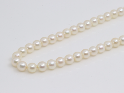 パール 6mm ネックレス