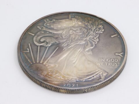 SV1000 1OZ 銀貨 31.1g