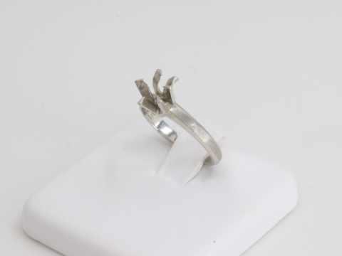 PT850 リング 枠 3.6g